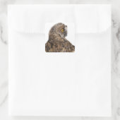 Eurasische Scops-owl - Otus scops (2 Monate alt) Quadratischer Aufkleber (Tasche)