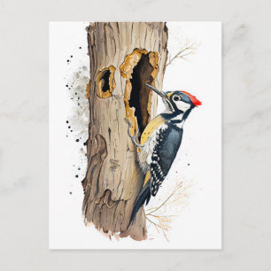 Eurasische Treecreeper mit Wasserfarbe - Suche nac Postkarte