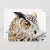 Eurasischer Adler Schokoladenart Postkarte (Vorne/Hinten)