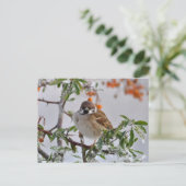 Eurasischer Baum-Sparrow im Winter Postkarte (Stehend Vorderseite)