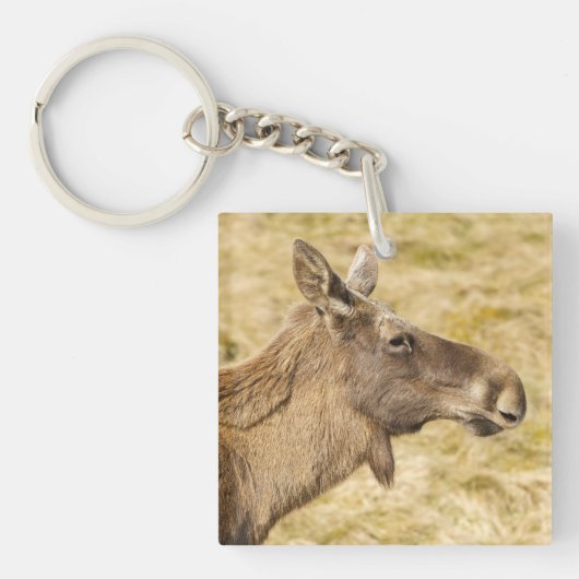 Eurasischer Elch Schlüsselanhänger (Vorderseite)