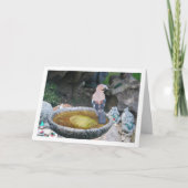 Eurasischer Jay-Bird auf dem Vogelbad Karte (Vorderseite)