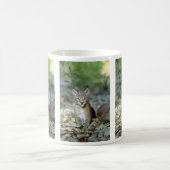 Eurasischer Luchs, junges Kätzchen Kaffeetasse (Mittel)