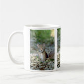 Eurasischer Luchs, junges Kätzchen Kaffeetasse (Links)