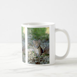 Eurasischer Luchs, junges Kätzchen Kaffeetasse