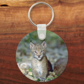 Eurasischer Luchs, junges Kätzchen Schlüsselanhänger (Vorderseite)