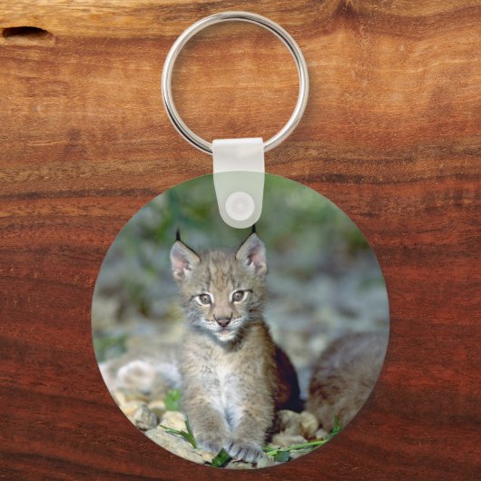 Eurasischer Luchs, junges Kätzchen Schlüsselanhänger (Vorderseite)