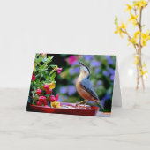 Eurasischer Nuthatch-Vogel Karte (Gelbe Blume)