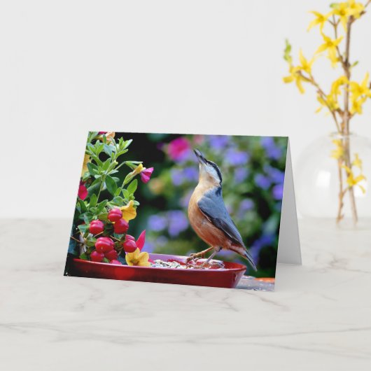 Eurasischer Nuthatch-Vogel Karte (Gelbe Blume)