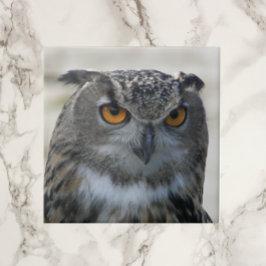Eurasisches Eagle Owl-Foto Fliese