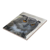Eurasisches Eagle Owl-Foto Fliese (Seite)