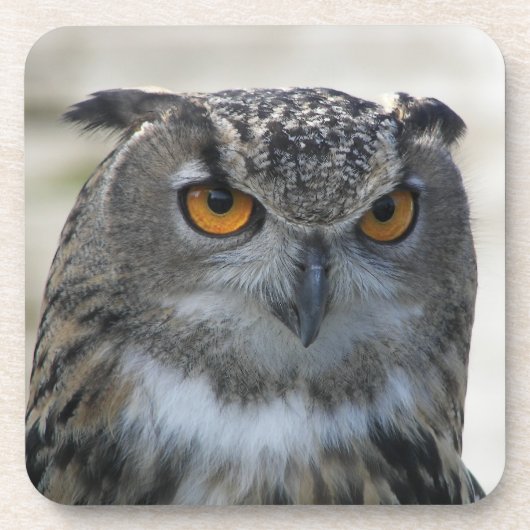 Eurasisches Eagle Owl-Foto Untersetzer (Vorderseite)