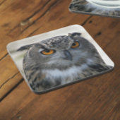 Eurasisches Eagle Owl-Foto Untersetzer