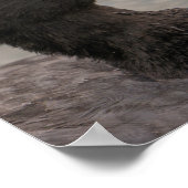 Eurasisches Kinderporträt Poster (Ecke)