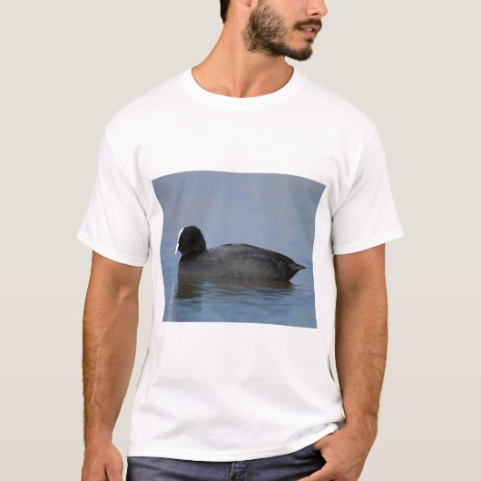 Eurasisches oder gemeines Blässhuhn, fulicula T-Shirt (Vorderseite)