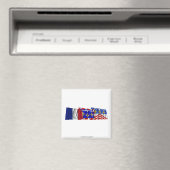 Eure-et-Loir, Centre & France-Flaggen Magnet (In Situ (Geschirrspüler))