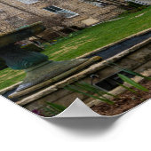 Eureka Crescent Poster (Ecke)