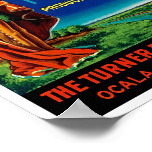 Eureka Florida Citrus Poster (Ecke)