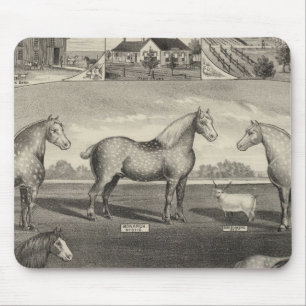 Eureka Stock Farm, Scottsville, Kansas Mousepad