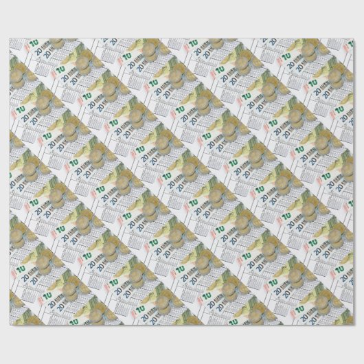 Euro Geschenkpapier (Flach)