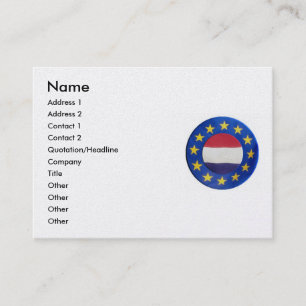 Euro Netherlands Business Card Visitenkarte