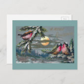 Euro Robins on Moonlit Night Vintage Weihnachten (Vorne/Hinten)