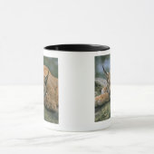Europ�_ischer Luchs, Eurasischer Luchs (Luchs Tasse (Zentrum)