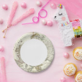 Europa 3 pappteller (Party)