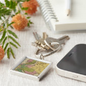 Europa 40 schlüsselanhänger (Seite)