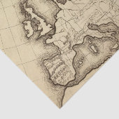 Europa 45 seidenpapier (Ausschnitt)