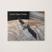 Europa Clipper Mission Spacecraft Puzzle (Horizontal)