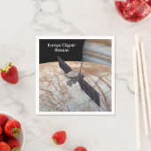 Europa Clipper Mission Spacecraft Serviette (Beispiel)