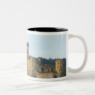 Europa, Deutschland, bei Koblenz, Schloss Zweifarbige Tasse