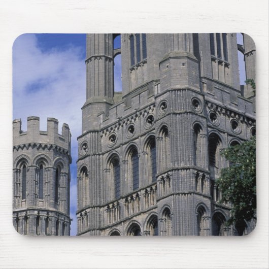 Europa, England, Cambridgeshire, Ely. Esel Mousepad (Vorne)