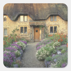 Europa, England, Chippenham. Frühmorgendliches Lic Quadratischer Aufkleber