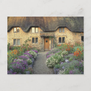 Europa, England, Chippenham. Morgenlicht Postkarte