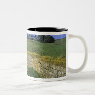 Europa, England, die Hadrianische Mauer. Die Stein Zweifarbige Tasse