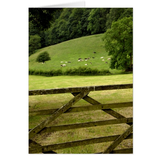 Europa, England, Lake District, Cumbria, (Vorne)