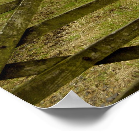 Europa, England, Lake District, Cumbria, Poster (Ecke)