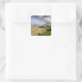 Europa, England, Northumberland Hadrian Quadratischer Aufkleber (Tasche)