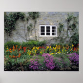 Europa, England, Teffont Magna. Blume Poster (Vorne)