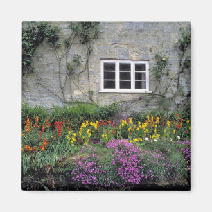 Europa, England, Teffont Magna. Blumen füllen Magnet