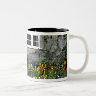 Europa, England, Teffont Magna. Blumen füllen Zweifarbige Tasse