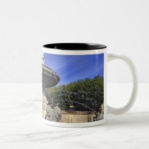 Europa, Frankreich, Aix-en-Provence. Fontaine de Zweifarbige Tasse