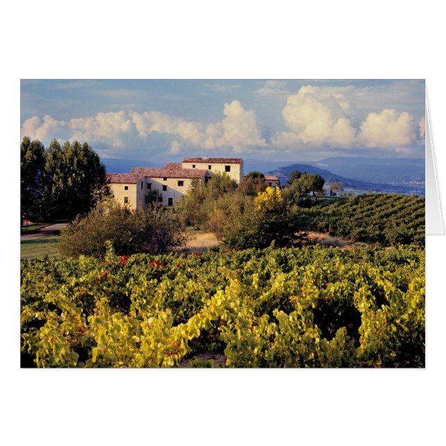 Europa, Frankreich, Bonnieux Die Weinberge bedecke (Vorderseite (Horizontal))