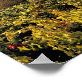 Europa, Frankreich, Bonnieux Die Weinberge bedecke Poster (Ecke)