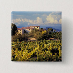 Europa, Frankreich, Bonnieux. Weinberge bedecken Button