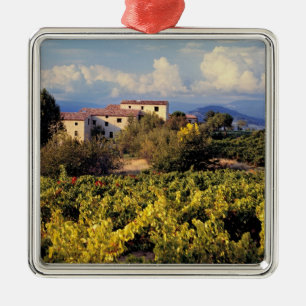 Europa, Frankreich, Bonnieux. Weinberge bedecken d Ornament Aus Metall