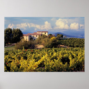 Europa, Frankreich, Bonnieux. Weinberge bedecken d Poster