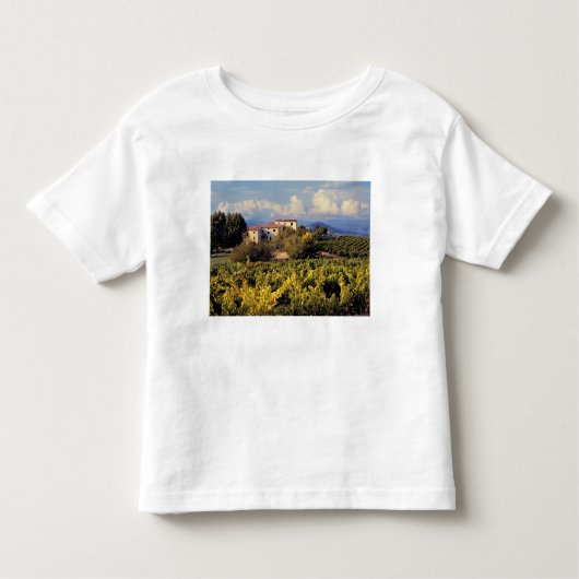 Europa, Frankreich, Bonnieux. Weinberge bedecken Kleinkind T-shirt (Vorderseite)